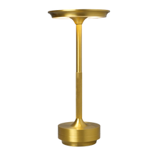 Load image into Gallery viewer, Casekis™ EcoLume